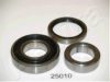ASHIKA 44-25010 Wheel Bearing Kit